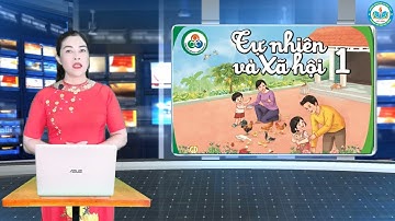 TNXH Lớp 1 - Bài 8 Lớp học của chúng mình