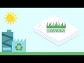 Erbivora, carta ecologica con il 40 di erba essiccata al sole