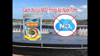 Cách Xử Lý NO2 Trong Ao Nuôi Tôm