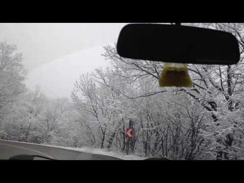 საბადურის ტყე / sabaduris tye