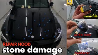 How to Repair Stone Chips a yours CAR HOOD/ Touch UP!!!