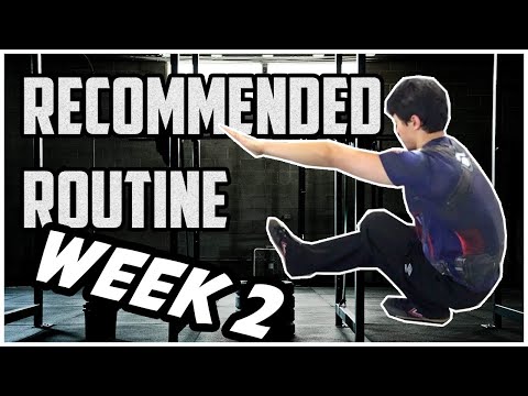 Best beginner workout program reddit