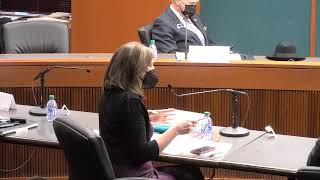 Senate Committee on Ethics (3/15/21)