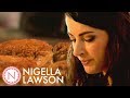 Nigella Lawson's Salmon Fish Cakes | Nigella Bites