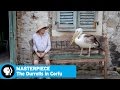 The Durrells in Corfu Overview