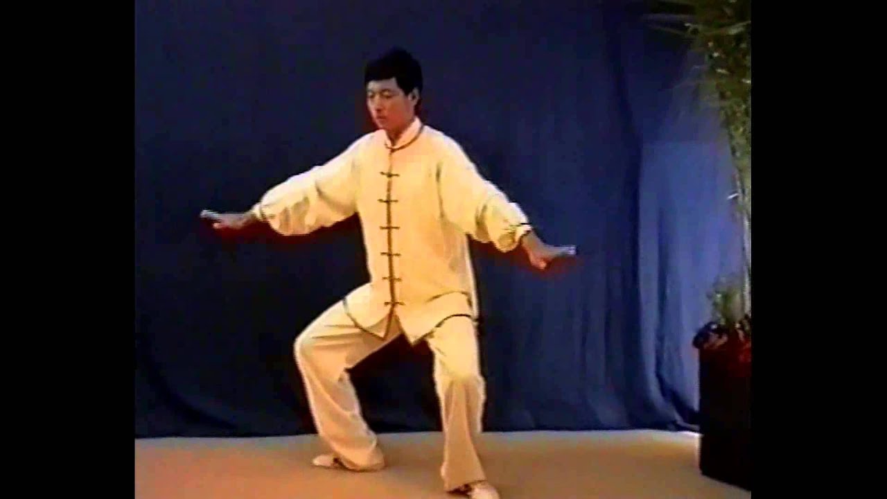 Zhineng 2 Maestro Yuan Hong Hai