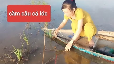 01/Cắm câu cá lóc mùa nước nổi dính toàn cá ngon