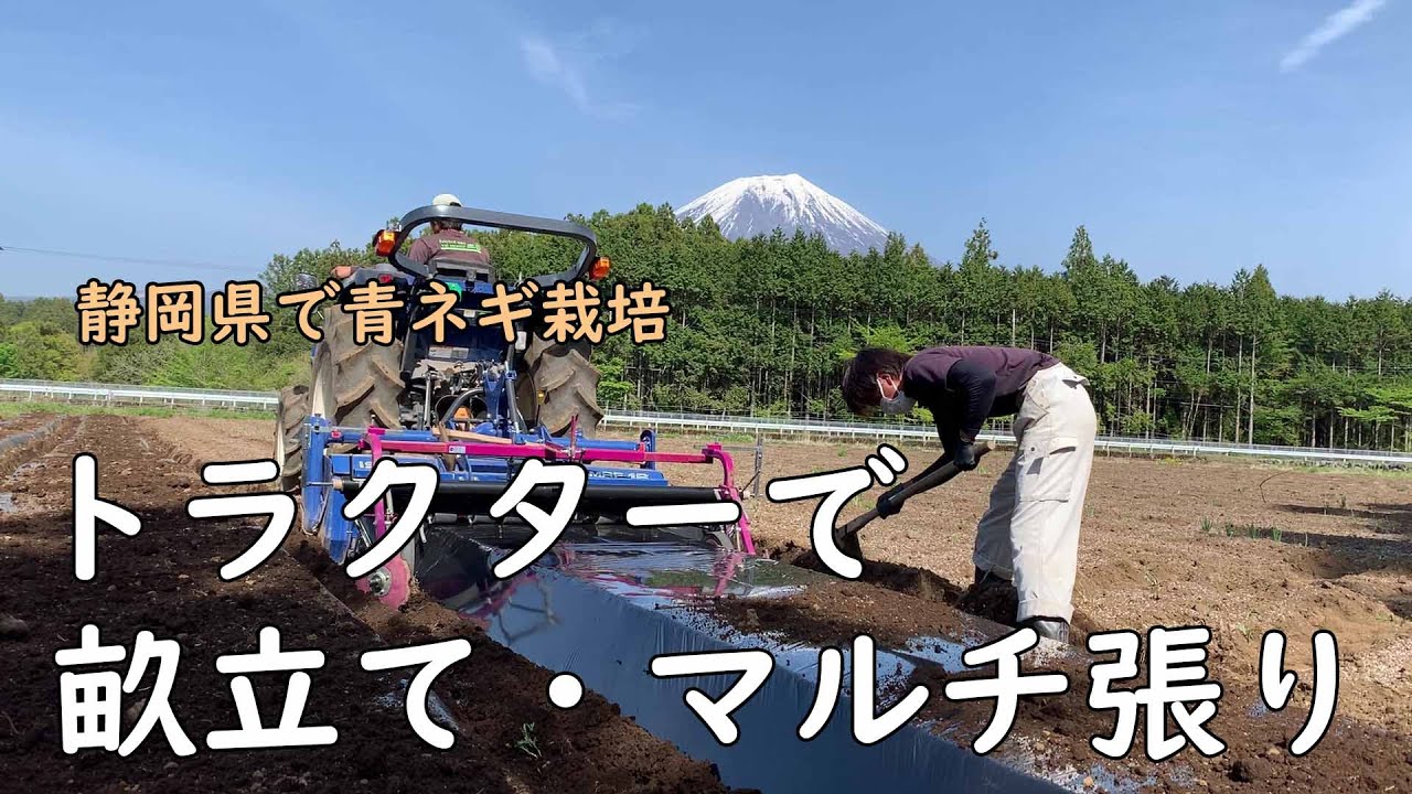 JGAP イセキ トラクター 畝立て マルチ張り 農業 静岡 青ネギ 栽培