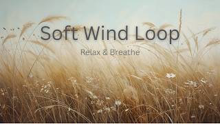 Golden Grass Breeze Loop for Frame TV Art | Relaxing Nature Background 4K