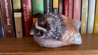Audobon Plush Quail