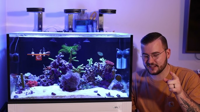 40L NUVO Fusion PRO 2 AIO Aquarium with Black APS Stand - Bulk Reef Supply