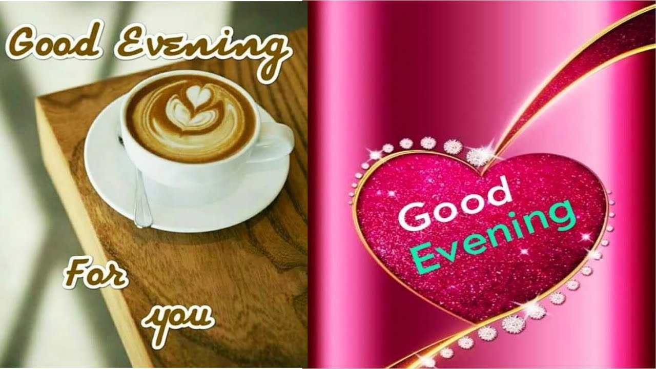 Good Evening Status | Good Evening Video - YouTube