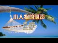 吴佳明 小人物的心声 KTV 导唱字幕 备有伴奏视频 吴佳明 小人物的心声 KTV 导唱字幕 备有伴奏视频