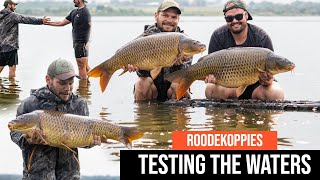 Roodekoppies - Testing the waters - Carp fishing South Africa