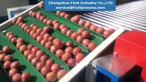 passion fruit cleaning sorting machine, passion fruit processing machine