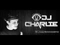 Dj charlie lesothum remember 2014 cd1