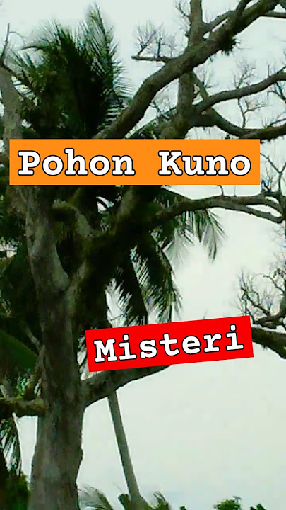 POHON KUNO SERIBU KENANGAN #dimaspaints#dimaspaintsampunnya#fyp#funny#serem# #liriklagu#viralshorts