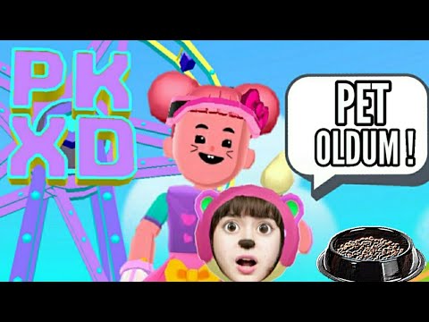 PK XD PET