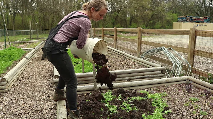 Why we use Critters in Agroecology