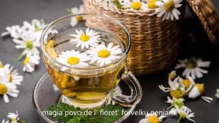 Beethowen – Das Blümchen Wunderhold – Százszorszép – Esperanto – subtekstoj