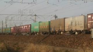 貨物列車1050レ EF210-131号機(岡)牽引 満載編成！！2016/12/9