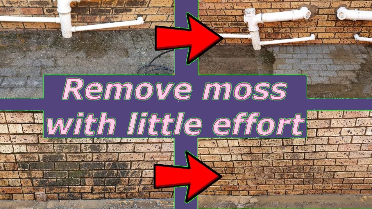 How to Clean Moss off Brick: Effective and Easy Methods