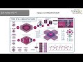 Identificando las Diferencias en ITIL v3 y ITIL 4