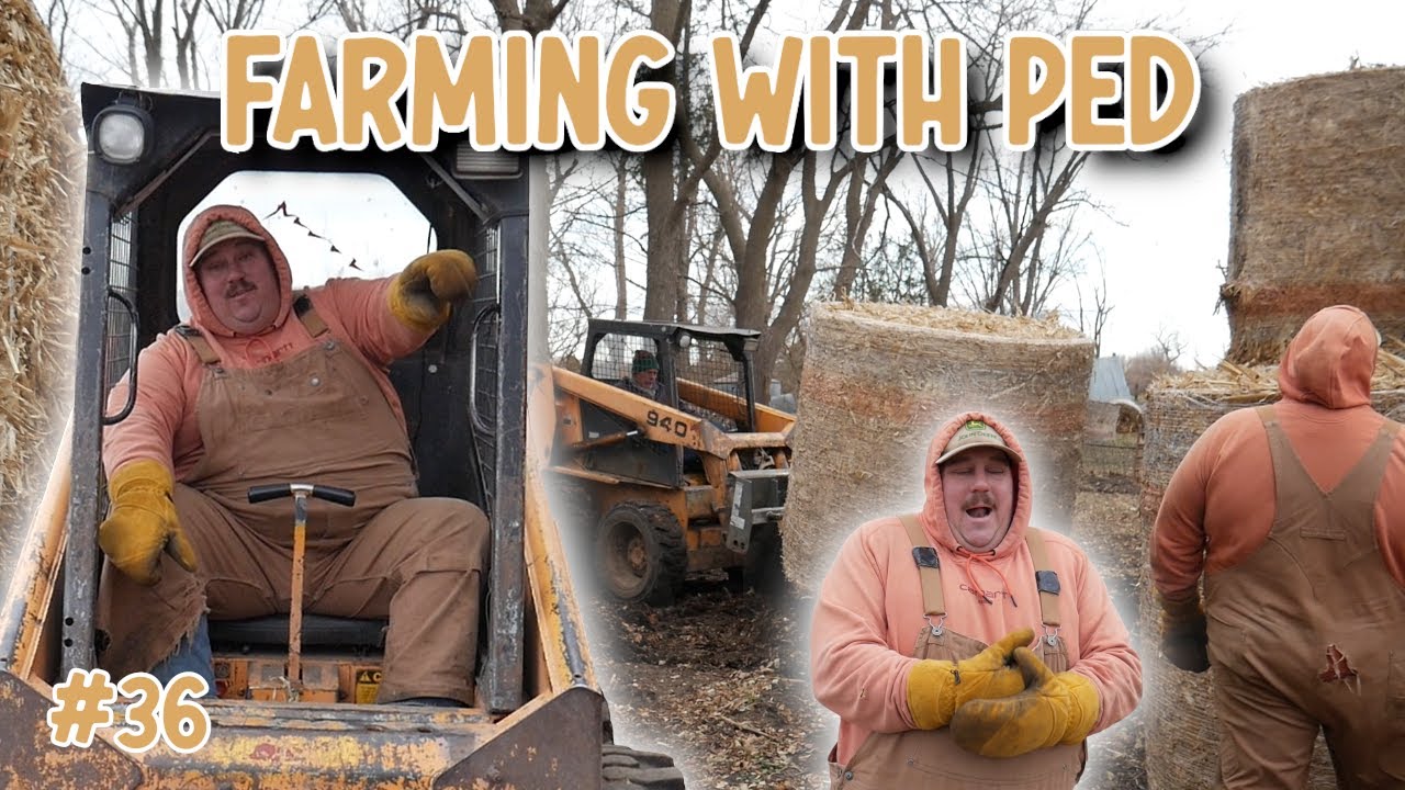 Rack 'Em  and Stack 'Em: Final Day of Hauling Cornstalk Bales | Farming with Ped