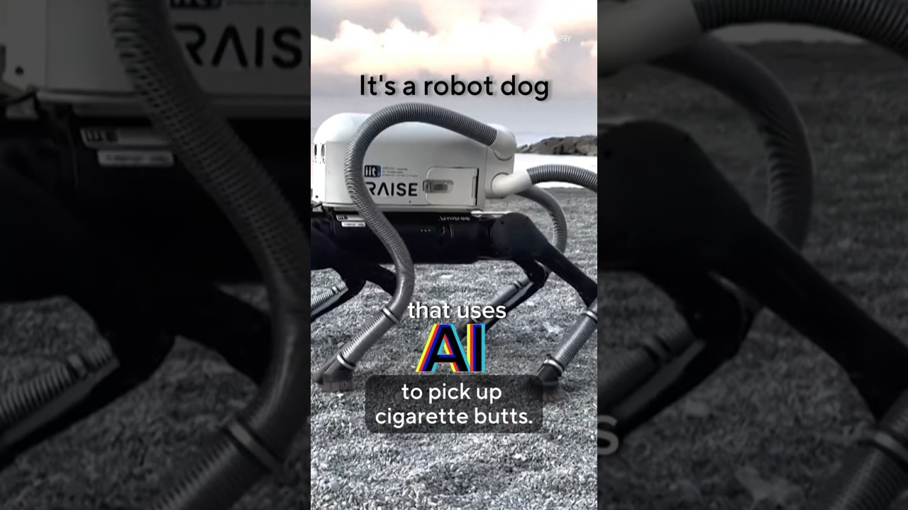 Robot dog uses AI to pick up cigarette butts #shorts