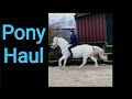 Mein &quot;neues&quot; Pony - Pony Haul