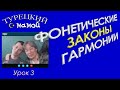 ТУРЕЦКИЙ ЯЗЫК - Фонетические законы гармонии в турецком языке