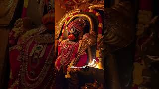 Mindful paws 😳@n.kkumawat-h7m