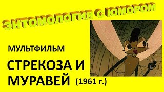 Мультфильм &quot;Стрекоза и муравей&quot; (1961 г.)