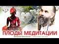 Плоды Медитации. Дмитрий Михайлов