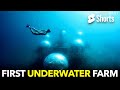 First Underwater Farm  #182