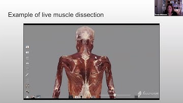 Anatomage Webinar with Dr  Wendy Williamson