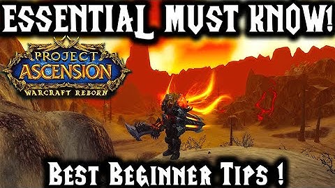 Essential ! Quick Tips You MUST KNOW As a Beginner in Warcraft Reborn | Ascension Bronzebeard !