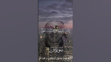 قَالَ لَا تَخْتَصِمُوا لَدَيَّ وَقَدْ قَدَّمْتُ إِلَيْكُم بِالْوَعِيدِ|المنشاوي|سورة ق.