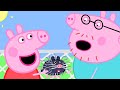 What Animal is this? Peppa visits the Petting Farm | Family Kids Cartoon