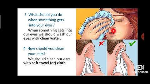 Class 4 /ICSE/ Science/ Lesson 4 part 2 /Session 9