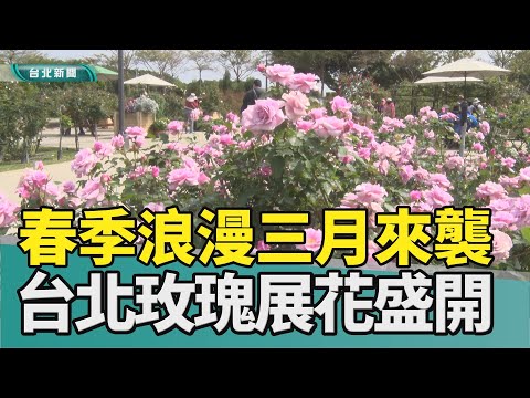 花季 台北|浪漫 玫瑰展|品種 育種|花海 美景|花香 拱門|旅遊 景點|2023 中嘉新聞|三月浪漫來襲 2023台北玫瑰展登場 800種玫瑰壟罩好幸福