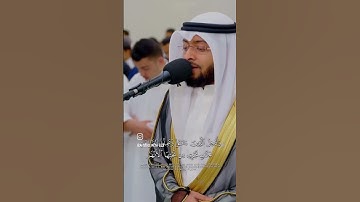 ما تيسر من سورة إبراهيم|القارئ الشيخ أحمد عبدالعزيز النفيس #القرآن_الكريم #احمد_النفيس #سورة_إبراهيم