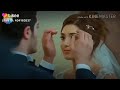 انت حبيب عمري انت حبيب عمري