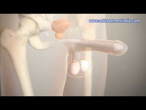 gax sex