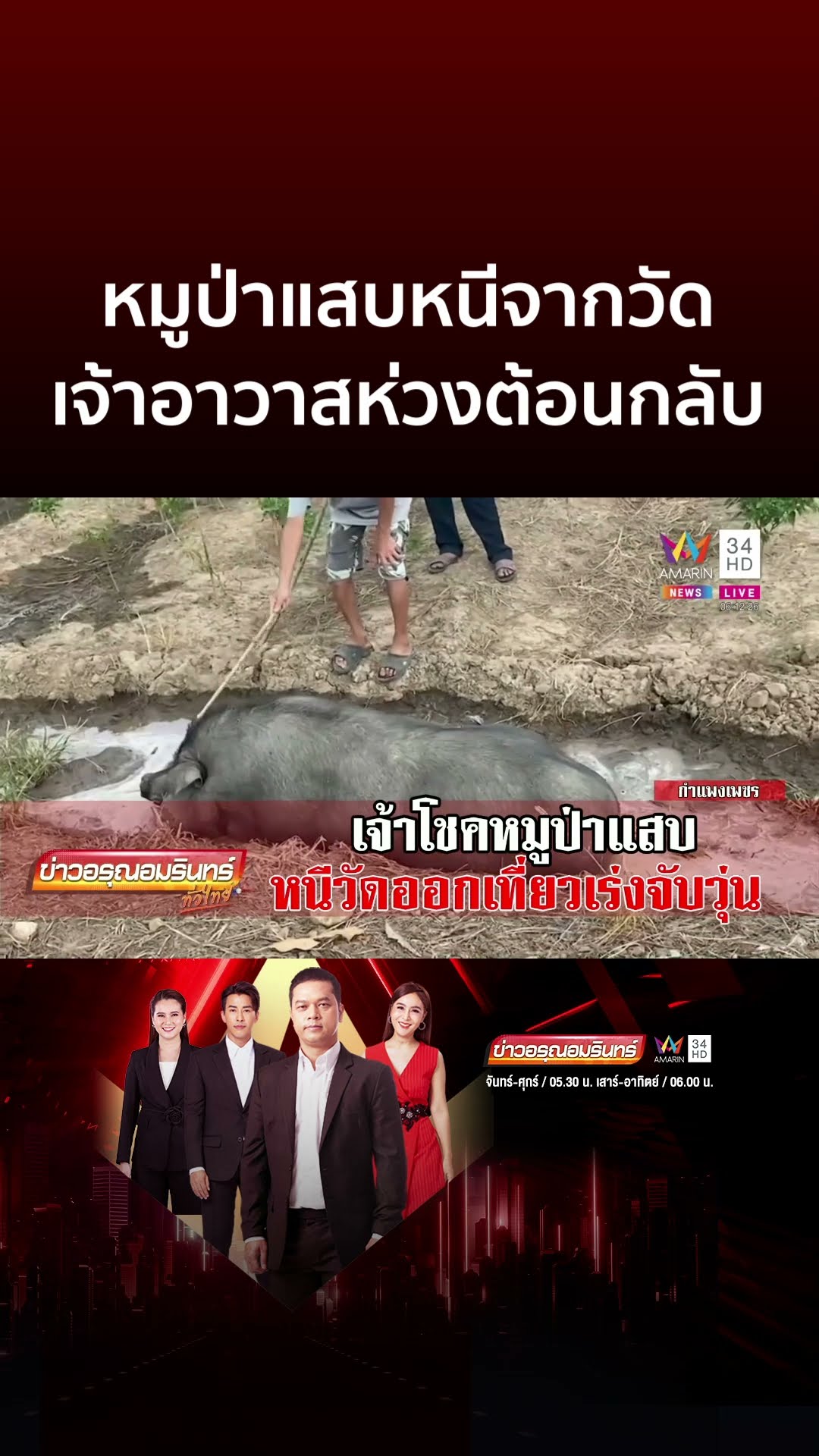 เที่ยวนานไปแล้ว! โชค หมูป่าตัวแสบหนีจากวัด เจ้าอาวาสห่วงสั่งต้อนกลับ | ข่าวอรุณอมรินทร์