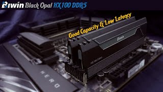 Biwin Black Opal Hx100 Ddr5