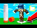 MINECRAFT MA SIAMO INCOLLATI AL TERRENO!