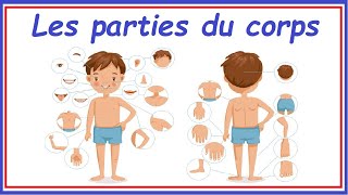 Les Parties Du Corps En Français  أجزاء الجسم باللغة الفرنسية  Body parts in French