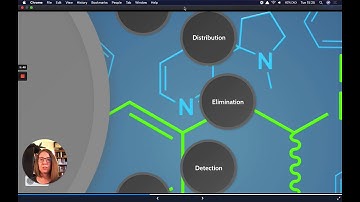 Pharmacology and Pharmacokinetics of Methamphetamines