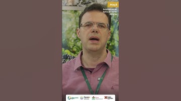 MAÇÃ: Safra deve elevar produção em 28%